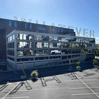 Steindle Williams Legal – Auckland Full‑Service Law Firm